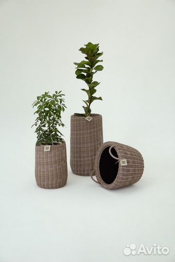 Кашпо из ротанга