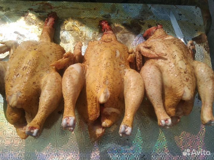 Мясо домашнего броллера