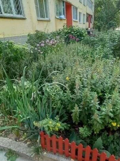 2-к. квартира, 57 м², 4/4 эт.