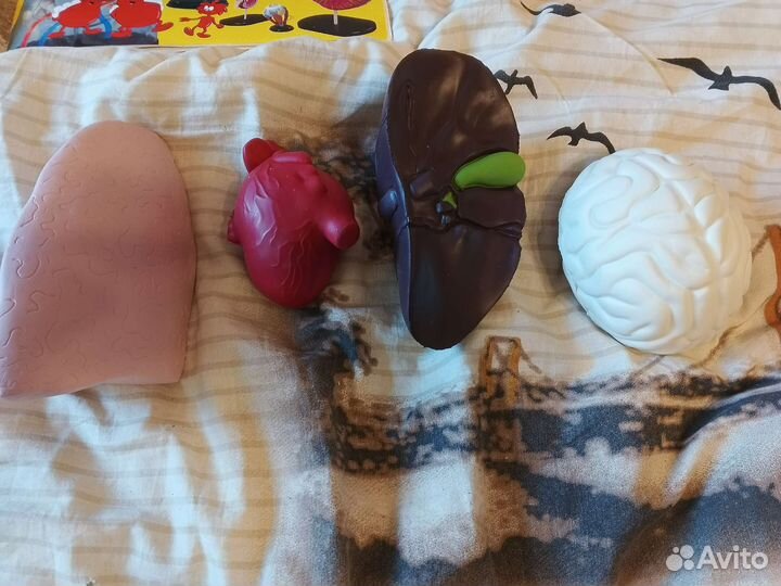 Детали из коллекции Как устроено тело человека