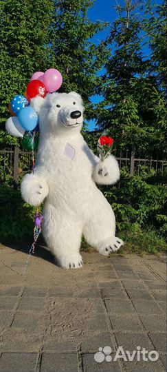 Поздравление от Белого Мишки. Медведь аниматор