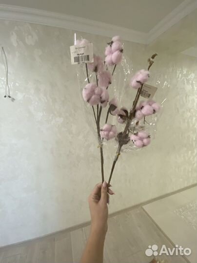 Хлопок, корица и лотос