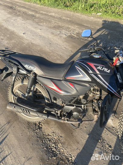 Alpha rs 12