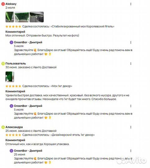 Вечно зеленый мох для декора кашпо спилы рейка