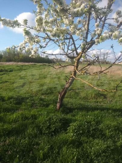 Дом 62 м² на участке 30 сот.