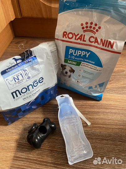 Вещи для щенка