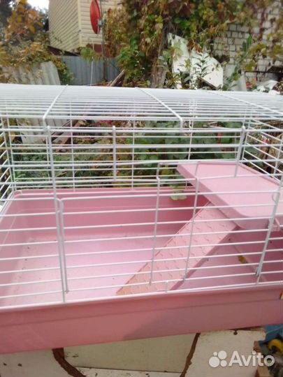 Клетка большая 2