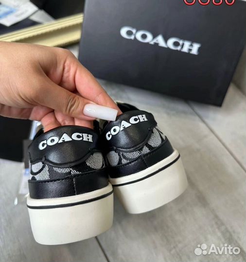 Кеды coach