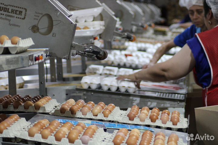 Вахта Птица гибкий график Пермь