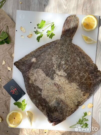 Камбала калкан