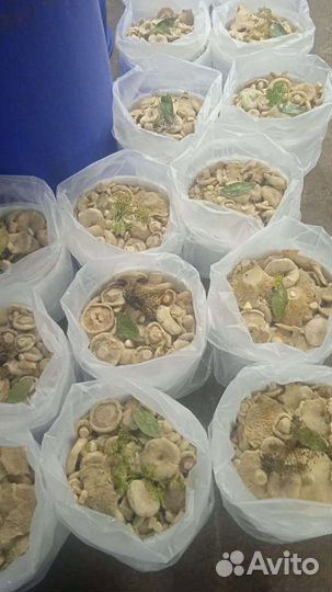 Грибы грузди соленые бочковые