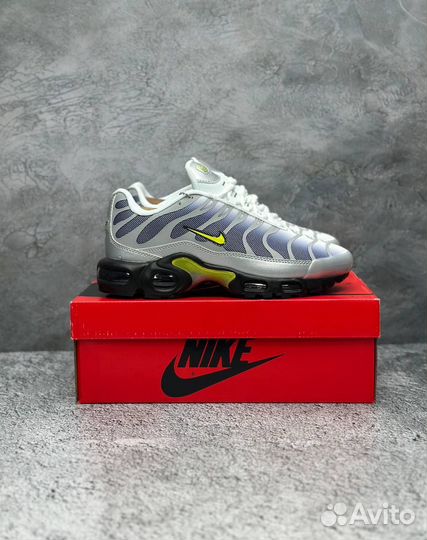 Кроссовки Nike Air Max TN серые 2