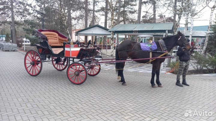 Карета фаэтон для лошади
