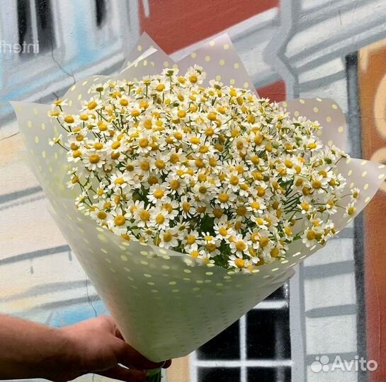 Ромашка Доставка цветов