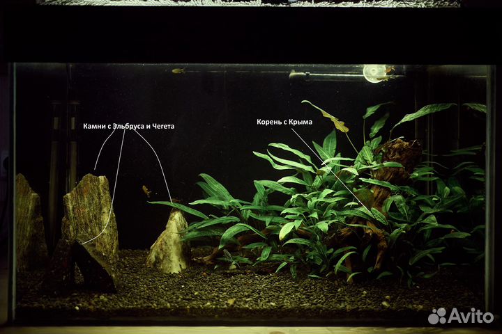 Аквариум на 180л с внешним фильтром и содержимым