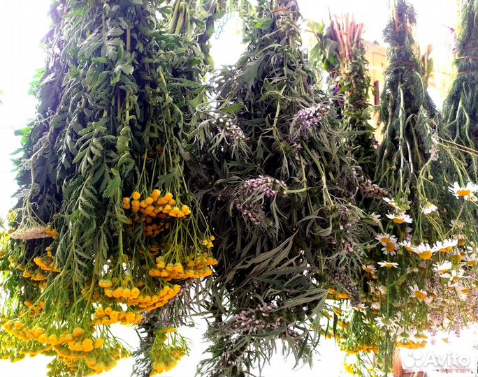 Лекарственные травы,цветы,семена