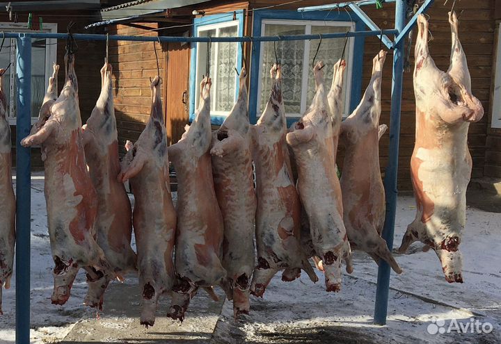 Мясо баранина халяль