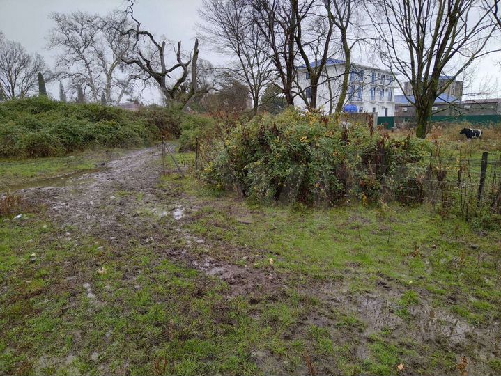 Участок 10 сот. (ИЖС)