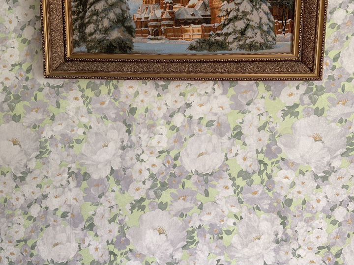 Дом 50 м² на участке 12 сот.