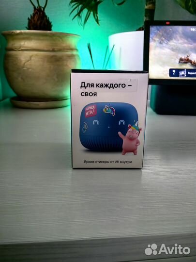 Vk капсула нео