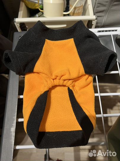 Одежда, рулетка-поводок и шлейка для собак