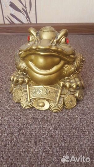 Лягушка большая