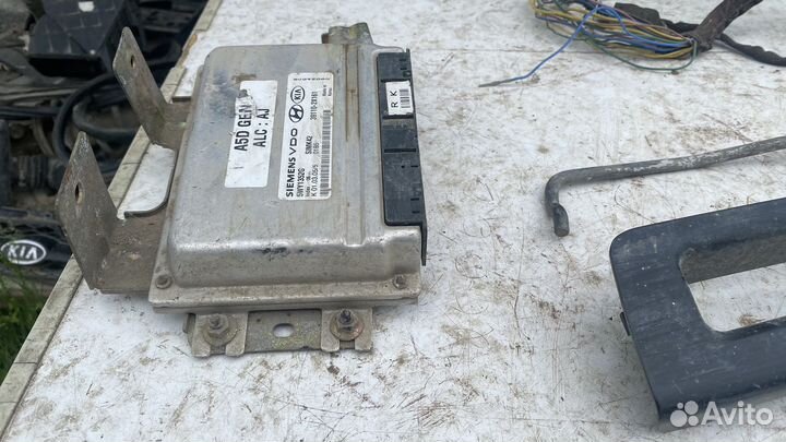 Kia rio эбу мозги