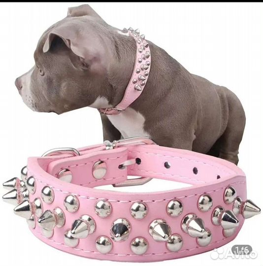 Ошейник с шипами размер М 31-37 см