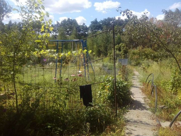 Дача 60 м² на участке 7 сот.