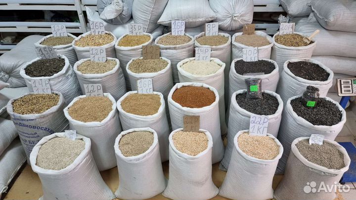 Продам кукурузу 12,зерно,пшеница, ячмень, овёс