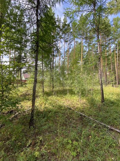 Участок 10 сот. (ИЖС)