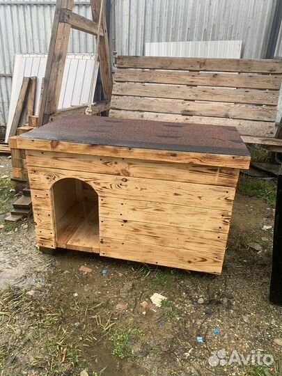 Собачья будка