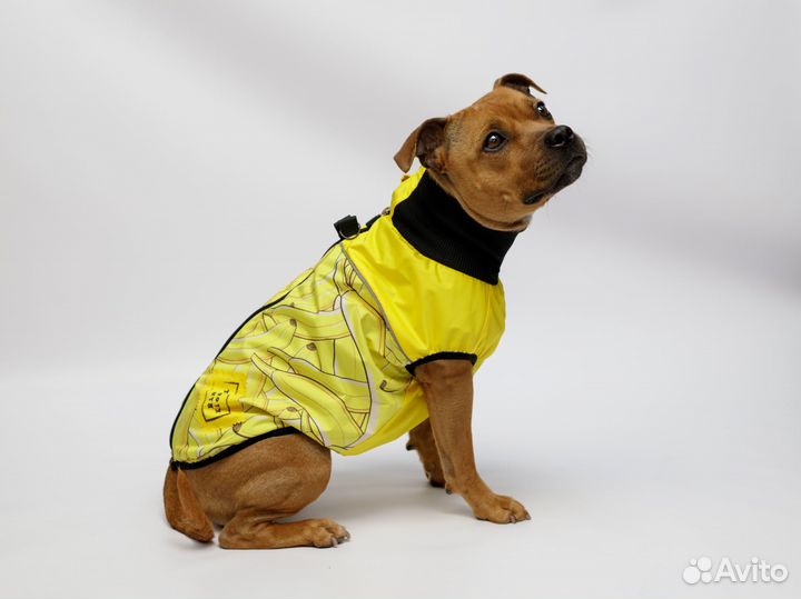 Жилет для собак