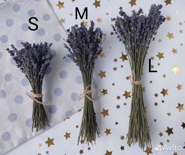 Лаванда сухоцвет букет урожай 22 года