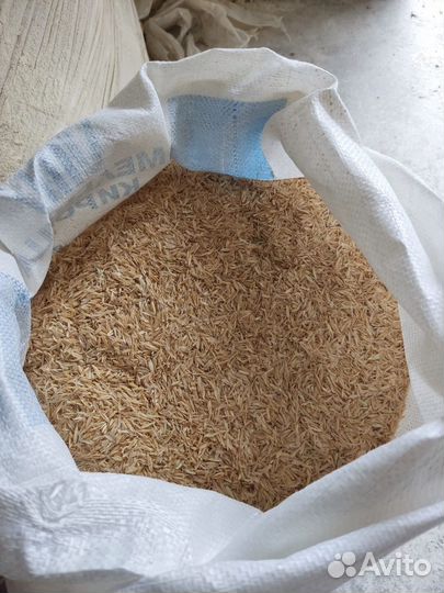 Мульча. Овсяная шелуха