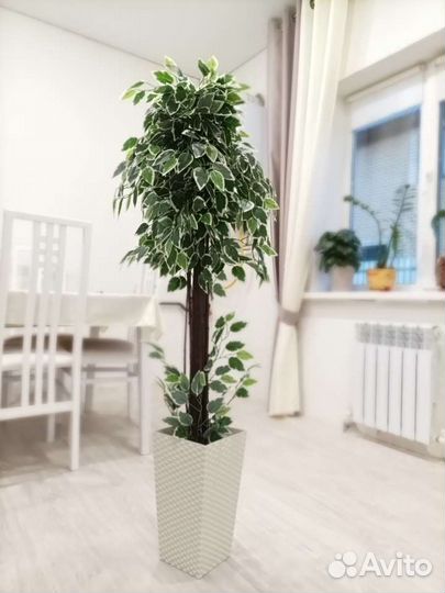 Искусственное дерево фикус бенджамина