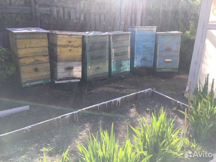 Улей для пчел