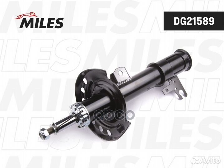 DG21589 DG21589 Miles