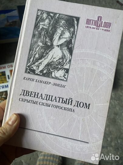 Двенадцатый дом Книга Карен Зондаг