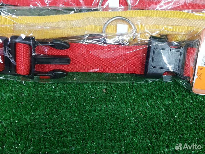 Светящиеся ошейники