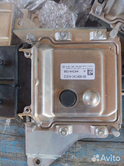 Эбу Мозги на Ниву