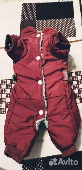 Комбинезон Petmax размер L на девочку