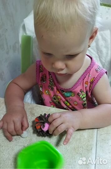 Развивающие занятия для детей+квест