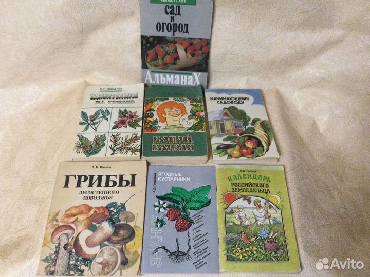 Книга Грибы Федоров Ф.В