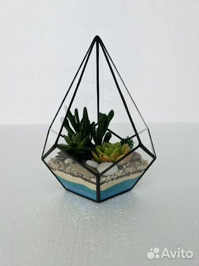 Флорариум суккулентами
