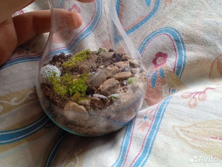 Вечный терариум