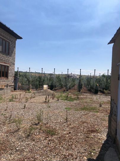 Дом 128 м² на участке 20 сот.