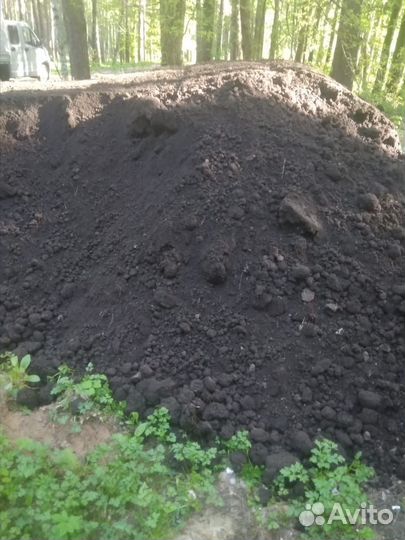 Чернозем