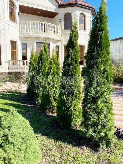 Дом 506,2 м² на участке 10 сот.