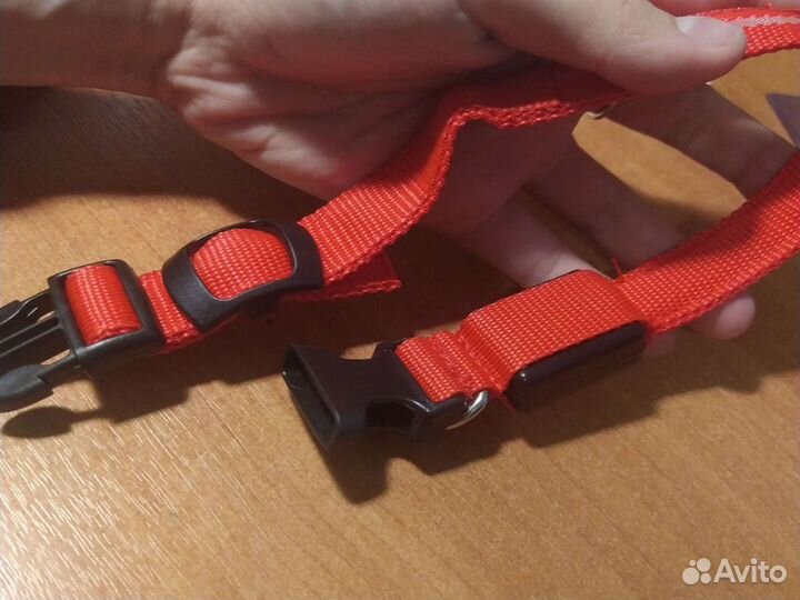 Ошейник светодиодный (красный) светится кнопкой